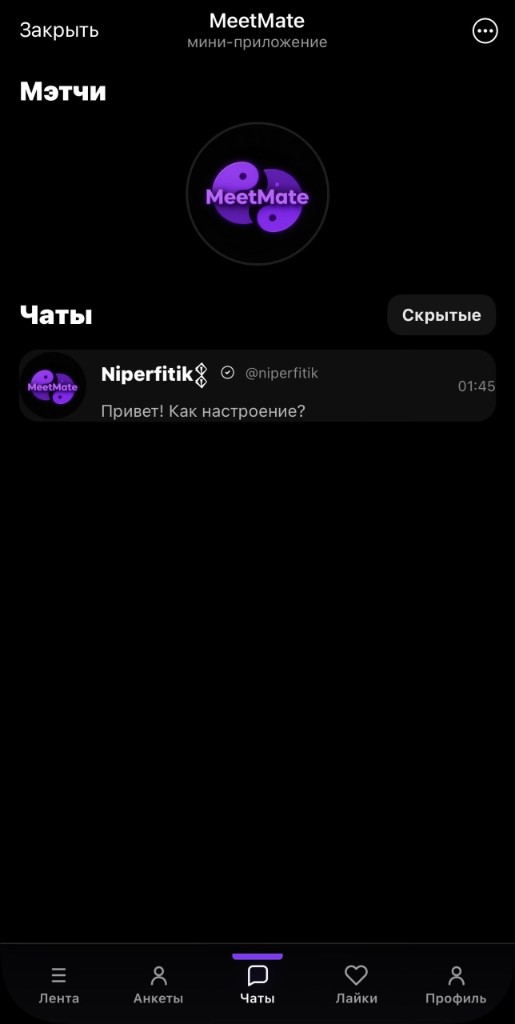 FluxFlirt: раздел чатов