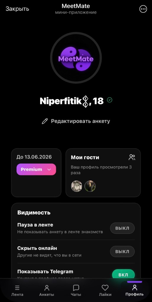 Интерфейс FluxFlirt: профиль